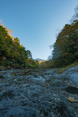 mountain river in autumn