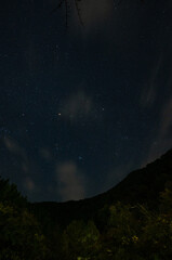 Starry Night Sky