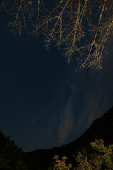 Starry Night Sky