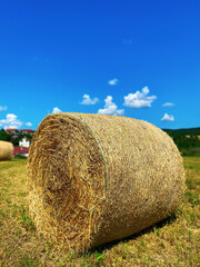 Hay bale stack on the field after harvest with blue sky