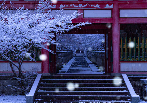 シンシンと雪の舞い降る神秘的な神社