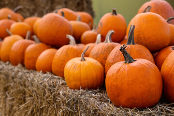Orange pumpkins on haystack at farm, closeup