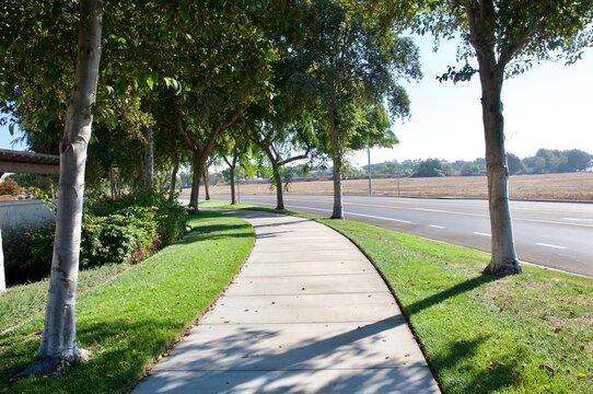 Empty quiet sidewalk residential neighborhood lined with trees