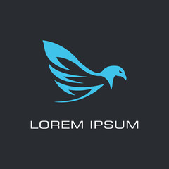 Dove bird logo design template. Vector Illustration.