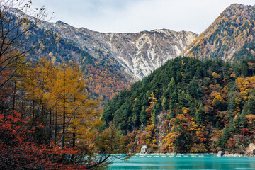 Autumn has come to the dam lake with its unique emerald green color