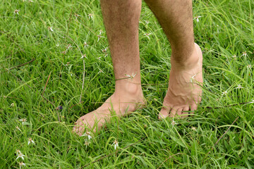 Male bare feet walking on the grass, walking on the sunlight. Practicing yoga, walking barefoot,man...