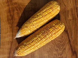 Sweet corn 
