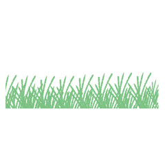 Illustration png of green grass. Perfect for plants like meadow illustration, etc.