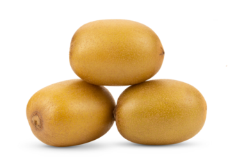 gold kiwi isolated on  transparent png