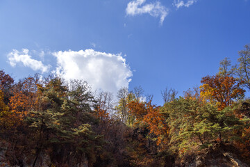 The beautiful autumn color landscape,stream,mountain,valley,
