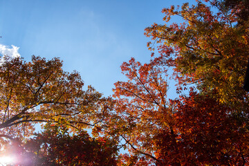 The beautiful autumn color landscape,stream,mountain,valley,
