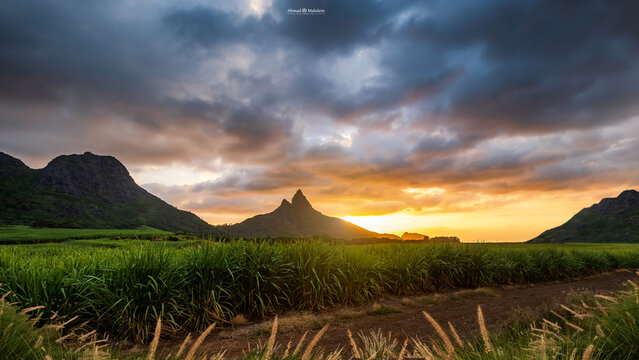 Mauritius Magical Landscapes  