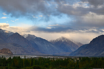 Fototapeta premium Also known as Takshi is the border village of India and located on the LoC of India-Pakistan. Hundar is a village in the Leh district of Ladakh, India famous for Sand dunes, Bactrian camels.