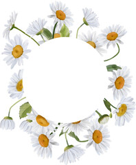 Watercolor frame of daisies, daisies. For cards, invitations, baby shower, wedding table and more