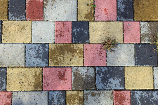 Colorful paving stone walkway texture © MakZin