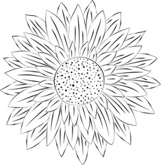 Autumn Sunflower Plant Illustration Graphic Element composition
