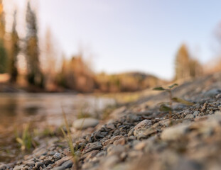 pebbles on the beach of river, close up. selective focus 