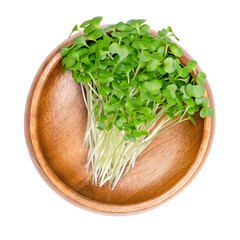 Siberian kale microgreens, in a wooden bowl. Fresh sprouts, green seedlings, young plants and...