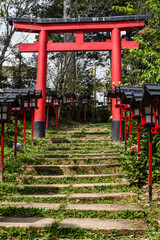 Traditional japanese gate Torii in Da Lat Vietnam