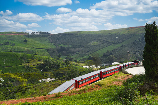 Red train in tea field in Da Lat Vietnam