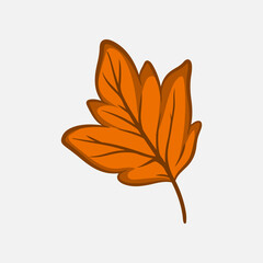 hand drawn autumn orange leaf clip art