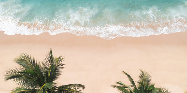 Aerial Drone View of Tropical Beach Paradise with Palm Trees, Travel