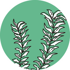 アナカリスのアイコン（水草）