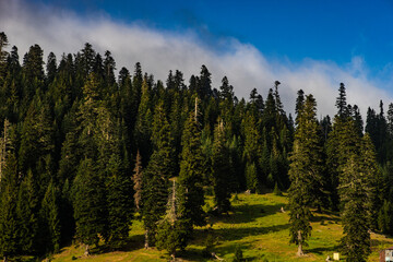 Caucasus mountain in Guria region of Georgia