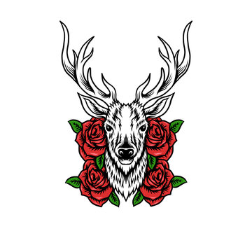 Deer head with roses vector illustration