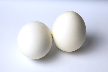 image of two chicken eggs