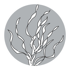 （白黒）バリスネリアのアイコン（水草）