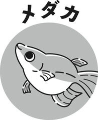 メダカのアイコン（白黒）