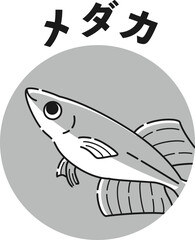 メダカのアイコン（白黒）