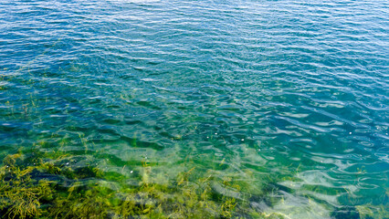 water background