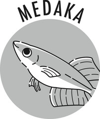 メダカのアイコン（白黒）
