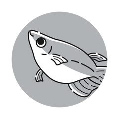 メダカのアイコン（白黒）
