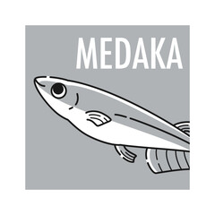 メダカのアイコン（白黒）