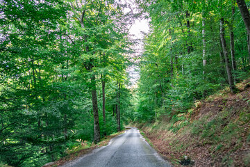 Mythological Path of Mount Hozarco. Cantabria. Spain.