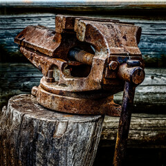 Old rusty vise standing on a tree stump in the backyard.