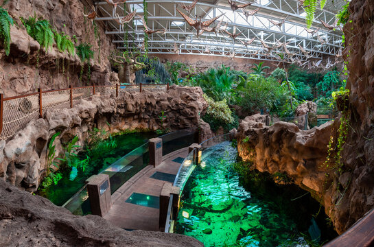 Wide view of the entrance into the jungle in the aquarium in Las Palmas in Gran Canaria