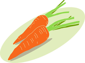 Sweet juicy tasty natural eco product carrot