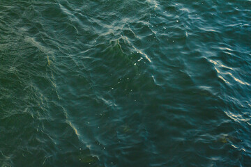 sea surface with waves, top view beautiful color water