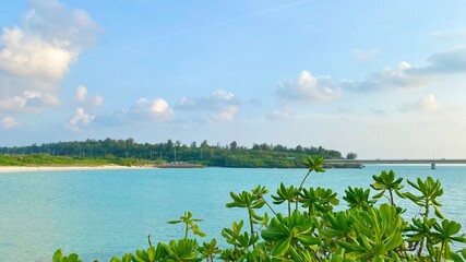 Fototapeta premium landscape with lake