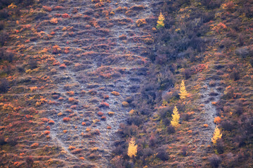 wallpaper autumn landscape mountain altai, freedom romantic trip