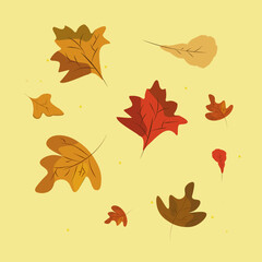 Obraz premium autumn leaves background