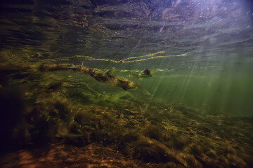 Fototapeta na wymiar underwater fresh water green background with sun rays under, water
