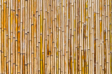 Yellow bamboo enclosure