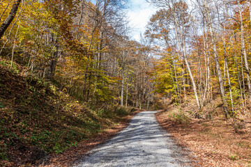 Fototapeta na wymiar Beautiful country road in peak fall foliage
