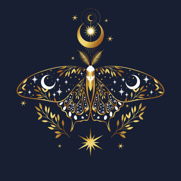 Mystic gold moth isolated vector illustration. Magic moon, occult, print, poster.