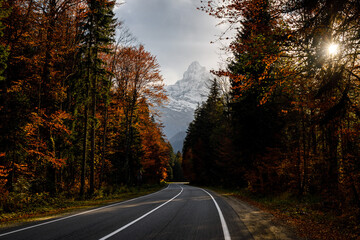Fototapeta premium Beautiful winding autumn road through the trees against the backdrop of a large mountain. Caucasus, Dombay. 
